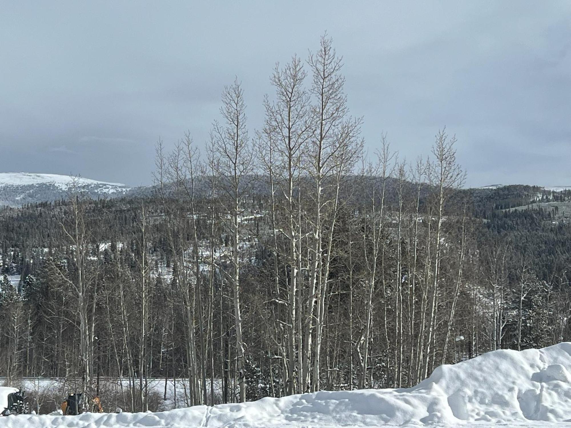 Silverado II Winter Park Bagian luar foto